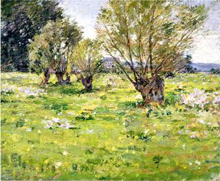 Willows and Wildflowers