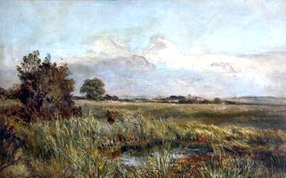Fisherman and Spinney