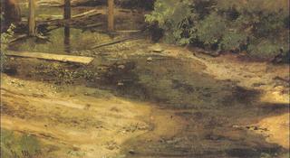 Woodland rivulet