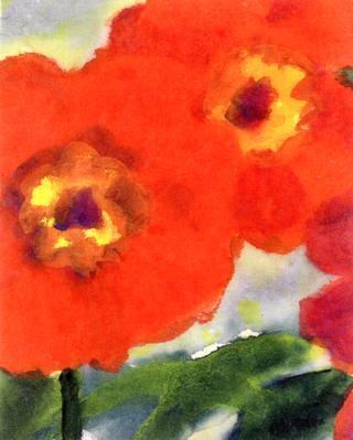 Red Poppy Flowers