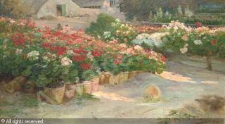 Rose Garden