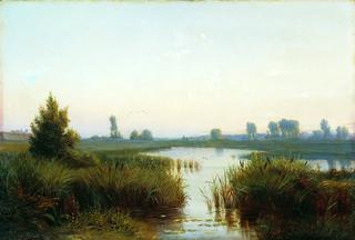 沼泽景观