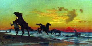 Horses Bathing