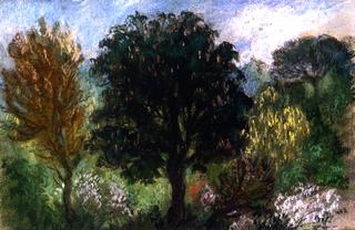 Trees in a Park