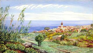 View of Icod, Teneriffe