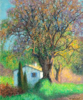 Cottage with Olive Tree, La Colle-sur-Loup