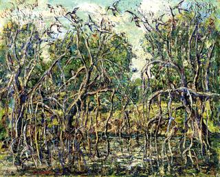 Florida Mangroves