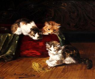 trois chatons