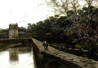 A Morning Stroll by the Canal