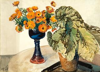 Marigolds and begonias