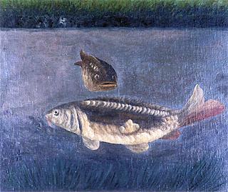Carp with Mirror