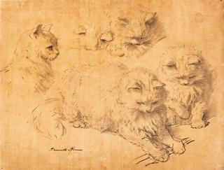 studie van vijf poezen