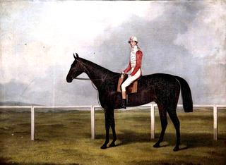 A Racehorse with Jockey Up, on a Racecourse