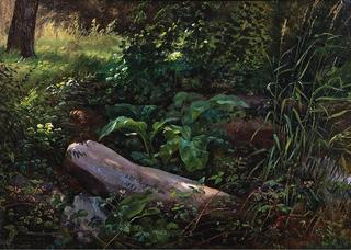 Forest Study from 'Grosser Garten' in Dresden