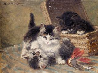 three playful kittens