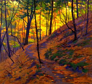 Dunes Woodland Trail