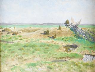Sunlit Landscape