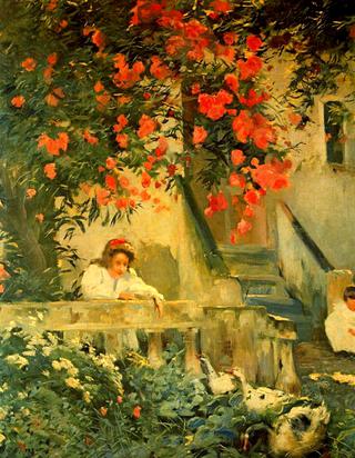 Eixida (Patio)