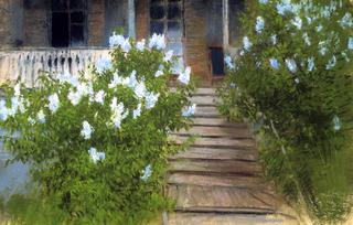 Spring. White Lilacs