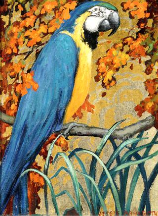 Blue Macaw