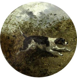 风景中的猎犬