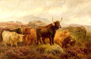 On the Scottish Moors