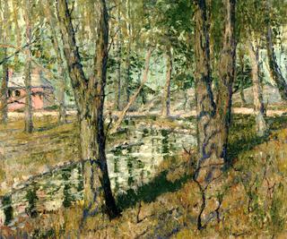 Connecticut Landscape