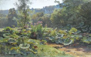 Coltsfoot, Doubs