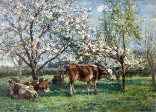 Spring in Orchard