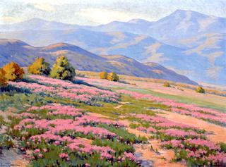 Wild Verbena, near Palm Springs