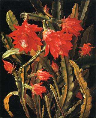Cactus with Scarlet Blossoms