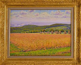 Field with Hay