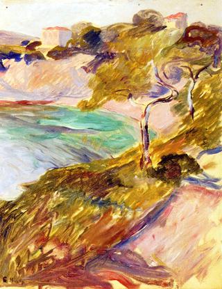 Trees by the Mediterranean