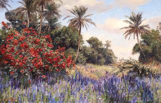 Lavender Field
