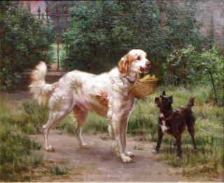 English Setter and Terrier