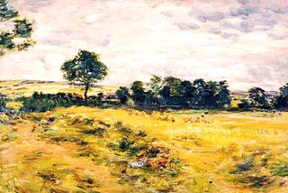 Harvest at Broomieknowe