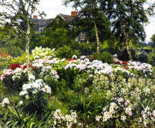 A Garden