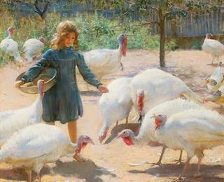 White turkeys