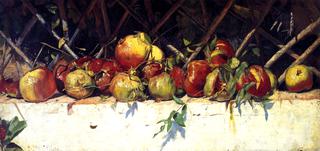 Still LIfe with Pomegranates