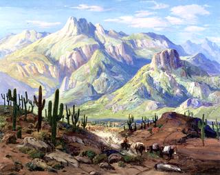 On the Cactus Trail