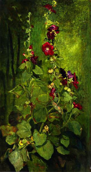 Red Hollyhocks