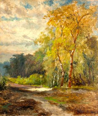 Path in a Forest