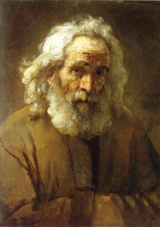 Study of an Old Man with a Beard