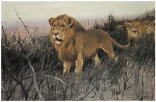 Lions in the Burnt Steppe