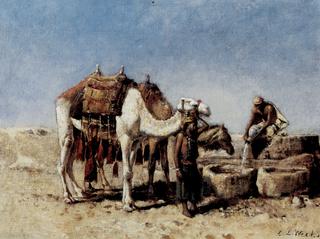 Camels at a Well, Tangiers