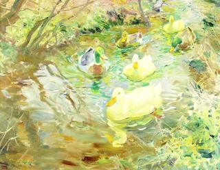 Sailing through the Sunshine of Early Spring