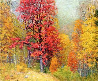 Autumn Landscape