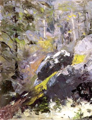 The Grey Woods