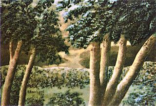 Trees