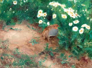 Partridge with Daisies